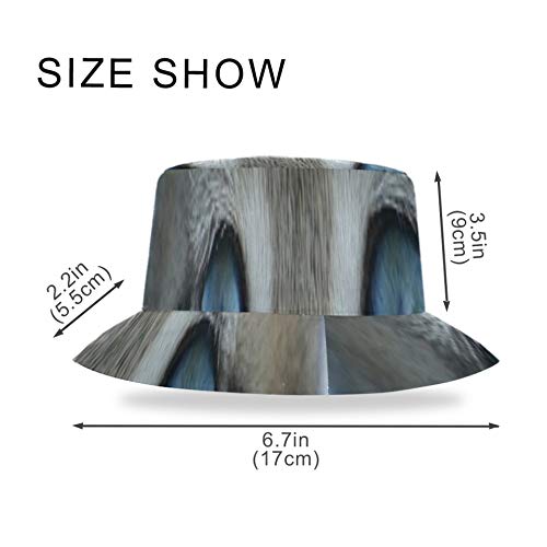 Sombrero de Mujer Animal Gato Gatito Mascotas Gato doméstico Tabby Gris Niños Sombrero de Cubo Niñas Unisex Elegante y Ligero Impreso Sombrero de Cubo Barato Disponible en Todas Las Estaciones