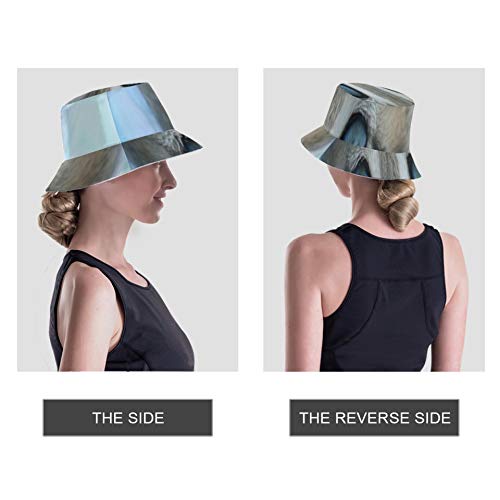 Sombrero de Mujer Animal Gato Gatito Mascotas Gato doméstico Tabby Gris Niños Sombrero de Cubo Niñas Unisex Elegante y Ligero Impreso Sombrero de Cubo Barato Disponible en Todas Las Estaciones