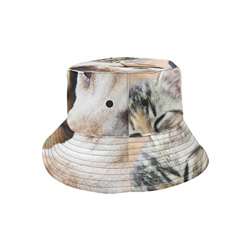 Sombrero para Hombre al Aire Libre Lindo Gato y Perro Mascota Linda Verano Unisex Pesca Sol Top Bucket Sombreros para Adolescentes Mujeres Gorra de Pescador Deporte al Aire Libre Vacaciones Sombrero