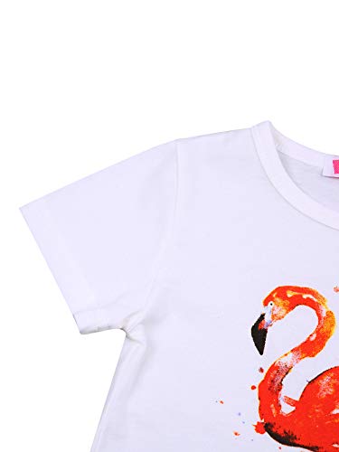 Springcmy Juego de 2 faldas de tul para niña con estampado de flamenco, cuello redondo, camiseta de manga corta y falda de color degradado de cintura alta