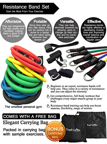 TheFitLife Bandas Elasticas Fitness Musculacion - Tubos de Entrenamiento para Deportes Interiores o Exteriores, Fitness,Fuerza y Velocidad, Gimnasio en casa o Yoga