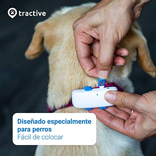 Tractive GPS Dog 4 - Localizador GPS Perros y Seguimiento de Actividad sin límite de Distancia, Resistente al Agua