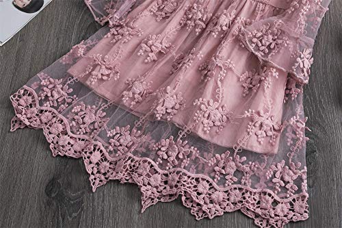 TTYAOVO Vestido de Fiesta de Princesa de Encaje para Niñas Vestido de Novia de Niña de Las Flores Tamaño(100) 2-3 Años 423 Rosa