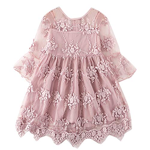 TTYAOVO Vestido de Fiesta de Princesa de Encaje para Niñas Vestido de Novia de Niña de Las Flores Tamaño(100) 2-3 Años 423 Rosa