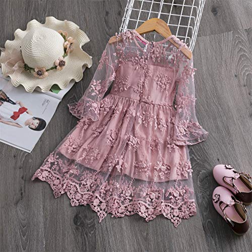 TTYAOVO Vestido de Fiesta de Princesa de Encaje para Niñas Vestido de Novia de Niña de Las Flores Tamaño(100) 2-3 Años 423 Rosa