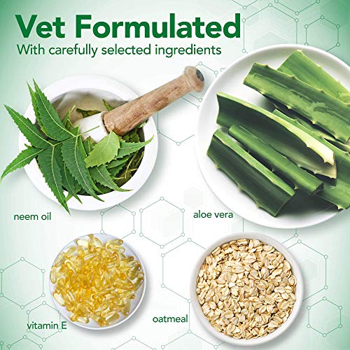 Vet's Best Baño de Perro sin Agua | No Enjuague Champú Seco para Perros | Fórmula Natural Refresca el Revestido y controla el Olor Entre baños 147 ml