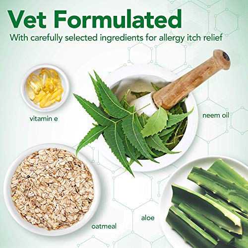 Vet's Best Baño para Gatos sin Agua | Champú seco sin Enjuague para Gatos | Fórmula Natural | 4 oz