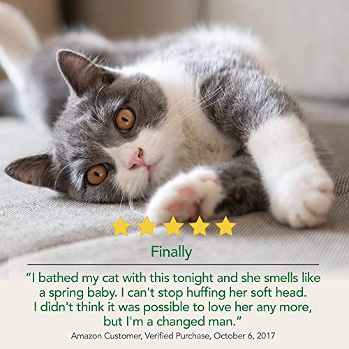 Vet's Best Baño para Gatos sin Agua | Champú seco sin Enjuague para Gatos | Fórmula Natural | 4 oz