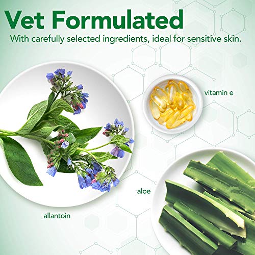 Vet's Best Champú HIPO-Alergénico para Perros con Piel Sensible, Alivia el Malestar de la Piel Seca, Picazón, Limpia, Hidrata y Condiciona la Piel y el Pelaje, 470ml