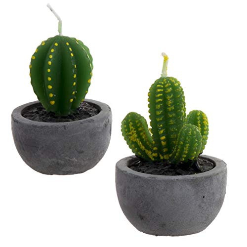 Vidal Regalos Vela Decorativa x2 Cactus Tiesto Cera 6 cm