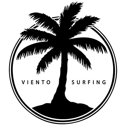 VIENTO Coco Surf Camiseta para Hombre (Negro, L)