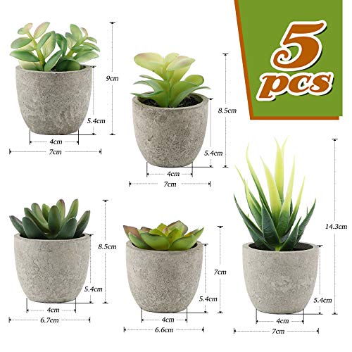 VINFUTUR 5pcs Suculentas Artificiales Decorativas Plantas con Maceta Falsa Plantas Decoración Adornos Suculentas para Mesa Hogar Oficina Baño Cocina Balcón