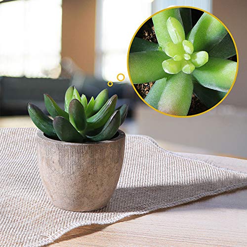 VINFUTUR 5pcs Suculentas Artificiales Decorativas Plantas con Maceta Falsa Plantas Decoración Adornos Suculentas para Mesa Hogar Oficina Baño Cocina Balcón