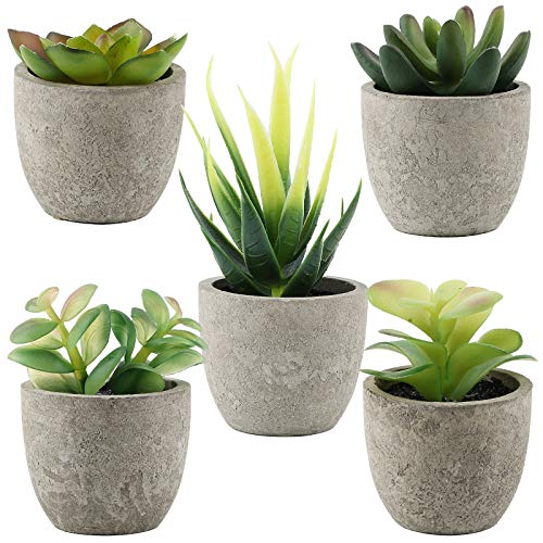 VINFUTUR 5pcs Suculentas Artificiales Decorativas Plantas con Maceta Falsa Plantas Decoración Adornos Suculentas para Mesa Hogar Oficina Baño Cocina Balcón