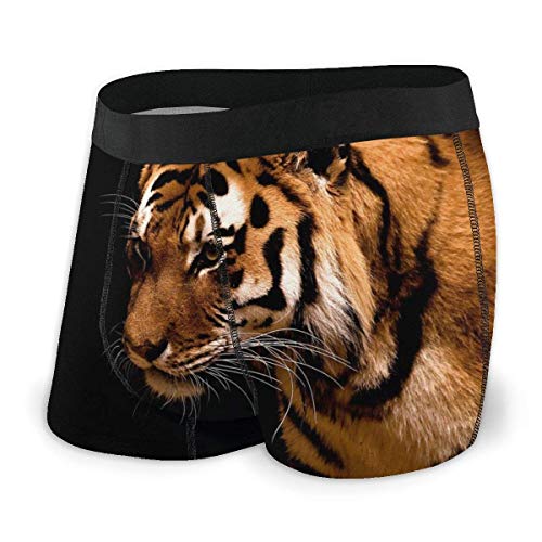 Web--ster Calzoncillos Tipo bóxer para niños Listo Ropa Interior de Tigre Troncos Entrenamiento Regular Rendimiento Absorbe la Humedad Bikini Bragas Talla XL