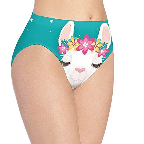 Web--ster Ropa Interior Linda con Estampado de Alpaca para Mujer, Braguitas Hipster Lindas para Mujer, Bragas WUD-754