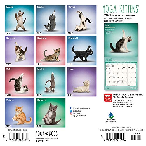 Yoga Kittens 2021 Calendar