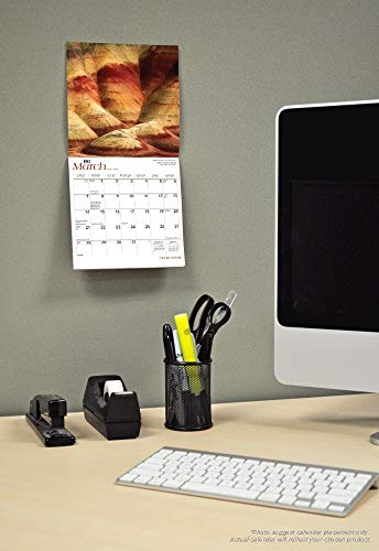 Yoga Kittens 2021 Calendar