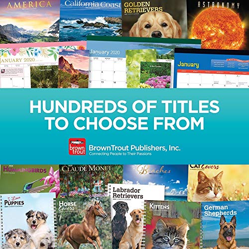 Yoga Kittens 2021 Calendar