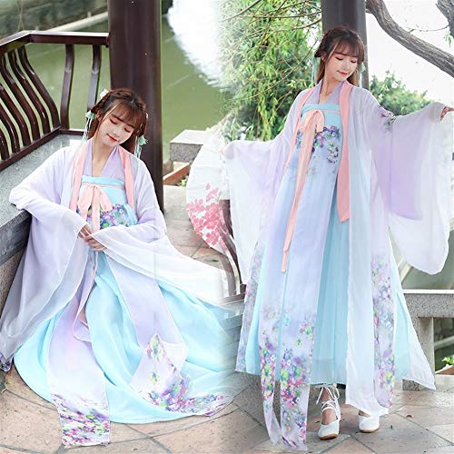 YUNGYE Traje Antigua Dinastía China Tradicional Vestido De Las Mujeres Hanfu Hanfu De Hadas De Princesa Vestidos De La Danza Popular De Ropa Tang (Color, Size : L)