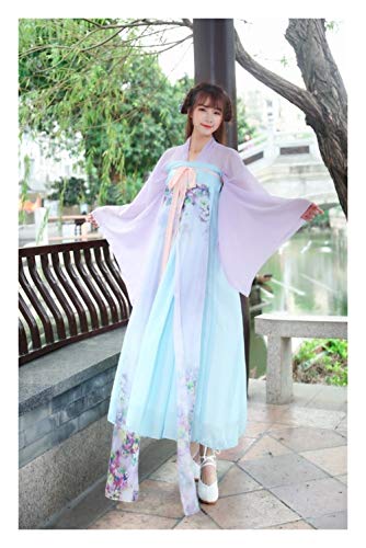 YUNGYE Traje Antigua Dinastía China Tradicional Vestido De Las Mujeres Hanfu Hanfu De Hadas De Princesa Vestidos De La Danza Popular De Ropa Tang (Color, Size : L)
