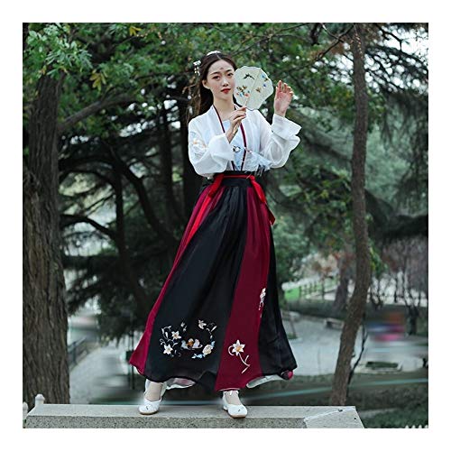 YUNGYE Vestido Hanfu, Camisa De Estilo Tradicional Chino Bordado Grande De Manga For La Mujer, Vestuario De Época De Cosplay De Hadas De Sexo Femenino De La Falda Estilo Antiguo Estudiante