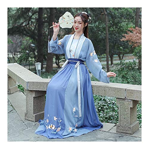 YUNGYE Vestido Hanfu, Camisa De Estilo Tradicional Chino Bordado Grande De Manga For La Mujer, Vestuario De Época De Cosplay De Hadas De Sexo Femenino De La Falda Estilo Antiguo Estudiante