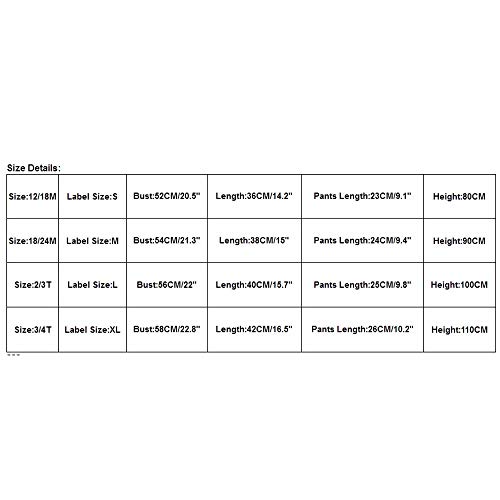 YWLINK 2 UNIDS Trajes De AlgodóN para NiñOs PequeñOs NiñOs BebéS Lolly T-Shirt Tops + Pantalones Cortos Conjunto De Ropa Elegante Estilo Dulce Lindo Bowknot DecoracióN