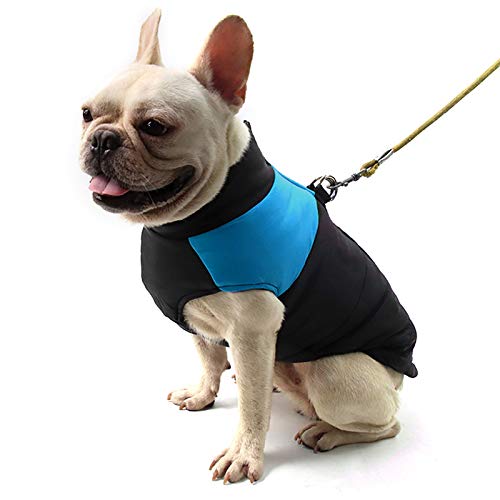 ZoneYan Perro Chaqueta Otoño Invierno, Mascota Chaleco Caliente, Perrito Ropa, Ropa Mascotas Abrigada Algodón, Perro Chaleco Impermeable, Abrigo Perro Cálido Proteccion