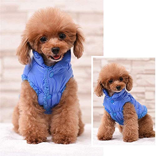 ABRRLO Abrigo de invierno para mascotas, abrigo para perro, grueso, 2 patas, grueso, suave, cálido, ultraligero, para mascotas, ropa de moda