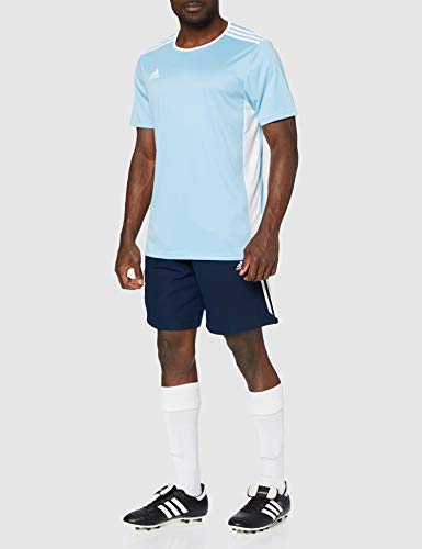 adidas Entrada 18 JSY T-Shirt, Hombre, Clear Blue/White, L