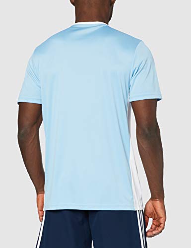 adidas Entrada 18 JSY T-Shirt, Hombre, Clear Blue/White, L