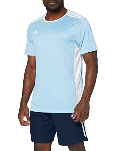 adidas Entrada 18 JSY T-Shirt, Hombre, Clear Blue/White, L