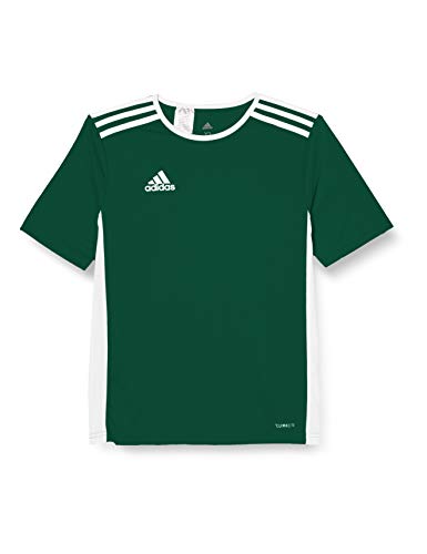 adidas Entrada 18 JSY T-Shirt, Hombre, Collegiate Green/White, S
