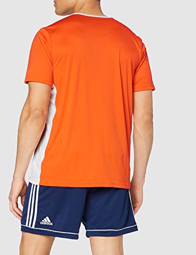 adidas Entrada 58 Camiseta de Fútbol para Hombre de Cuello Redondo en Contraste, Naranja (Orange/White), M