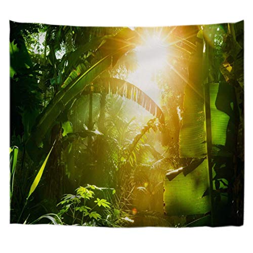 A.Monamour Tapices La Luz del Sol A Través De La Selva del Bosque En Vietnam Tropical Verde Hojas De Palmera Paisaje Naturaleza Tela Textil Colgar Tapiz De La Pared Cortinas Cubrecamas 153x203cm