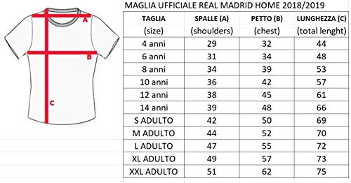 Camiseta oficial del Real Madrid Luka Modric para niños 2018-2019 (10 años)