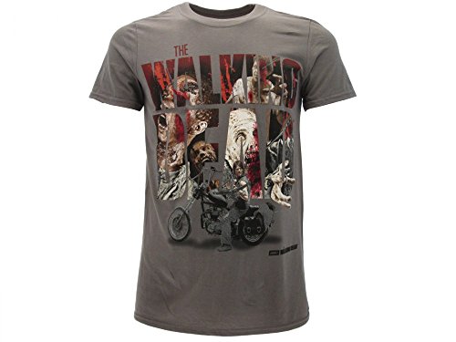 Camiseta original The Walking Dead Daryl Dixon Arrows in Walkers, color gris, producto oficial AMC gris S