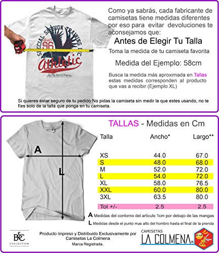 Camisetas La Colmena 154 Bouncy Star - (by Fernando Sala Soler) (XL, Gris Oscuro.)