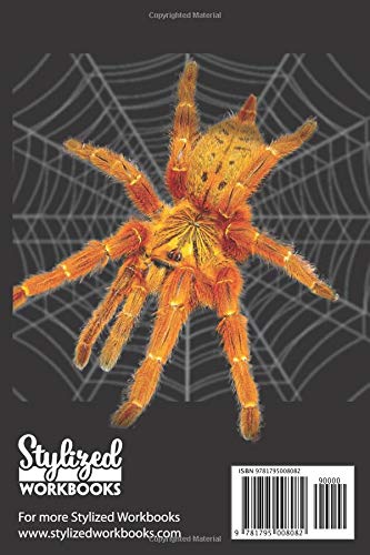 Crazy Spider Lady: Blank Lined Notebook, Journal or Diary