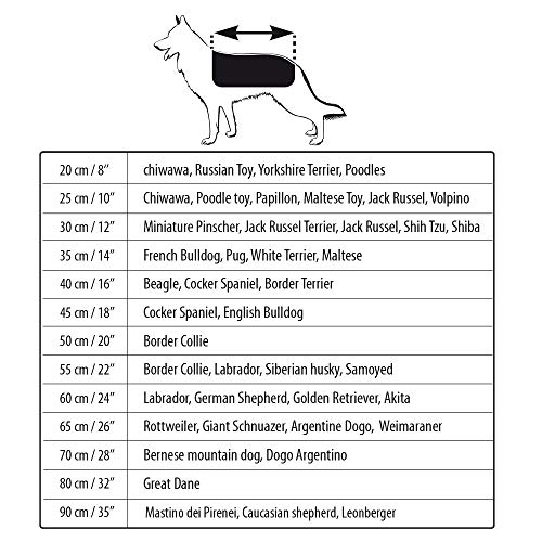 Croci Hiking - Abrigo Impermeable para Perros, Forro termorregulador, Fuji, Talla 50 cm - 380 g