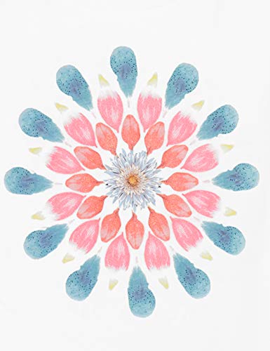 Desigual TS_Milan Camiseta, Blanco (Blanco 1000), Small para Mujer