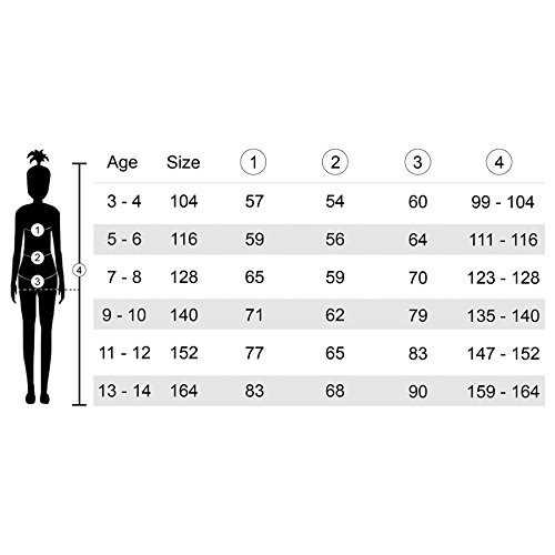 dressforfun 900216 - Disfraz de Niña Princesa del Castillo, Vestido Largo de Terciopelo, Incluye Cinta de Pelo (3-4 años | No.300973)