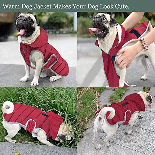 Etechydra Impermeable Chaqueta Abrigada para Perros, Reflectante Abrigo para Perro Sombrero Desmontable, Invierno Chaleco Felpa Chaqueta Perro Abrigo, S