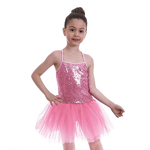 FONLAM Vestido Maillot de Ballet para Niña Vestido Danza Gimnasia Patinaje Tutú Ballet Niña Brillante (Rosa, 3-4 Años)