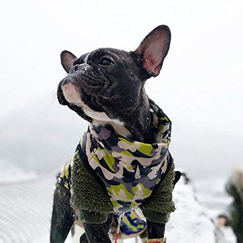 GFFGA Chaleco de camuflaje impermeable para perros pequeños, abrigo de bulldog francés, ropa de gato, talla H, M