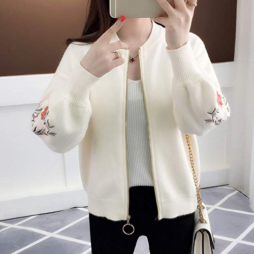 Guy Eugendssg Autumn Outfit Embroidered with A Han Edition Zipper Sweater Knit Cardigan Loose Women's Female W S