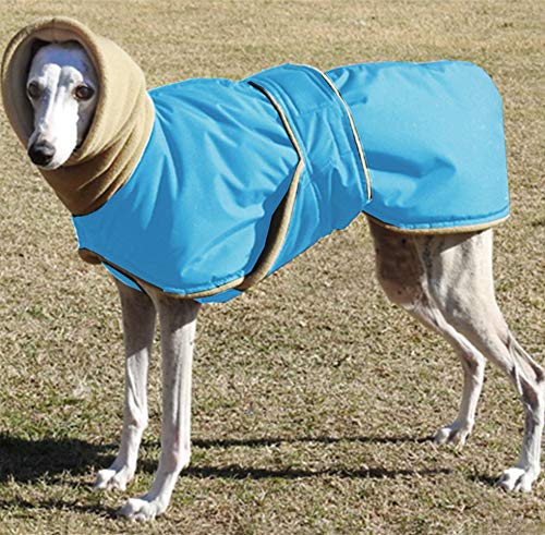 Idepet Abrigo de Invierno para Perros, Chaqueta para Perros, Chaleco para Perros a Prueba de Viento, Ropa con Cuello cálido, Sudadera con Capucha para Perros pequeños, medianos y Grandes