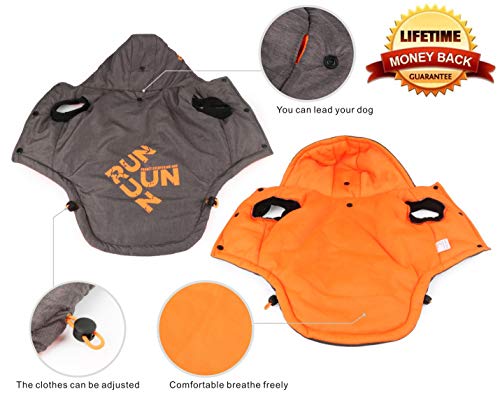 Idepet Abrigo Impermeable para Perros, Chaqueta cálida de Invierno para Mascotas, Chaleco, Algodón para Exteriores, Sudadera con Capucha para Perros, Ropa para Perros pequeños, medianos, Gatos