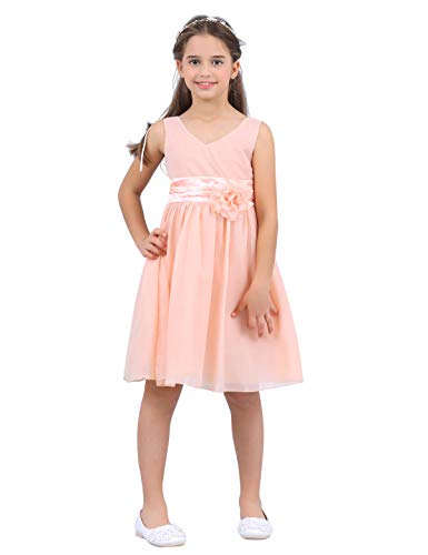 IEFIEL Vestido Fiesta Boda Niña Vestido Largo de Princesa con Flores Vestido Elegante de Dama de Honor Vestido Largo de Gasa para Cumpleaños Ceremonias Rosa Perla 8 años